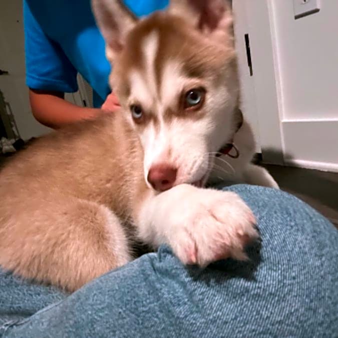 Photo of Jax