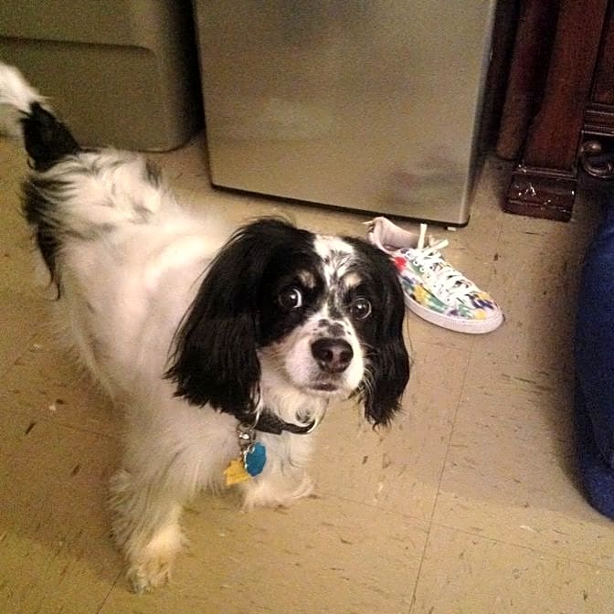 Photo of Poochie Madison