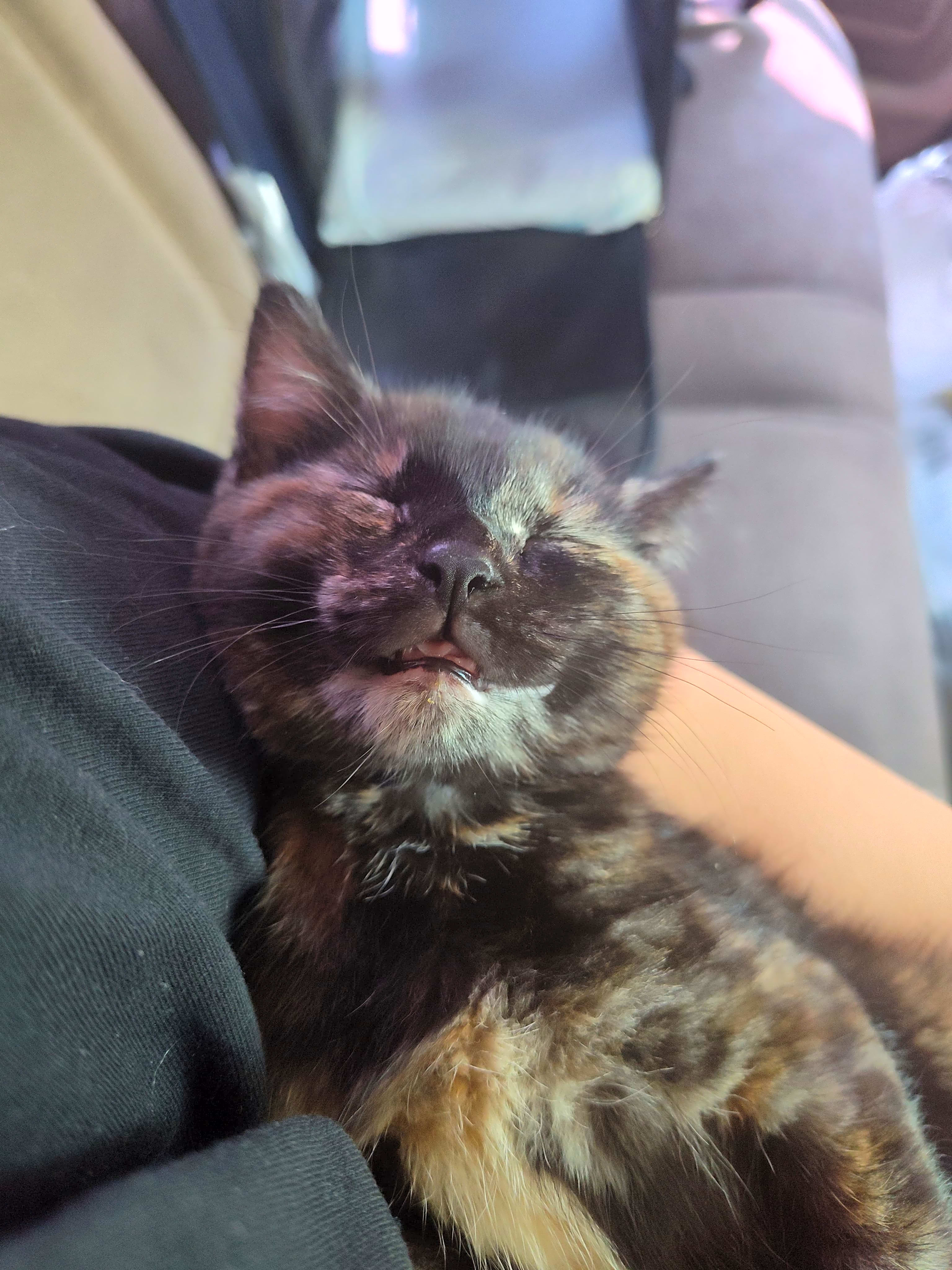Photo of Moka