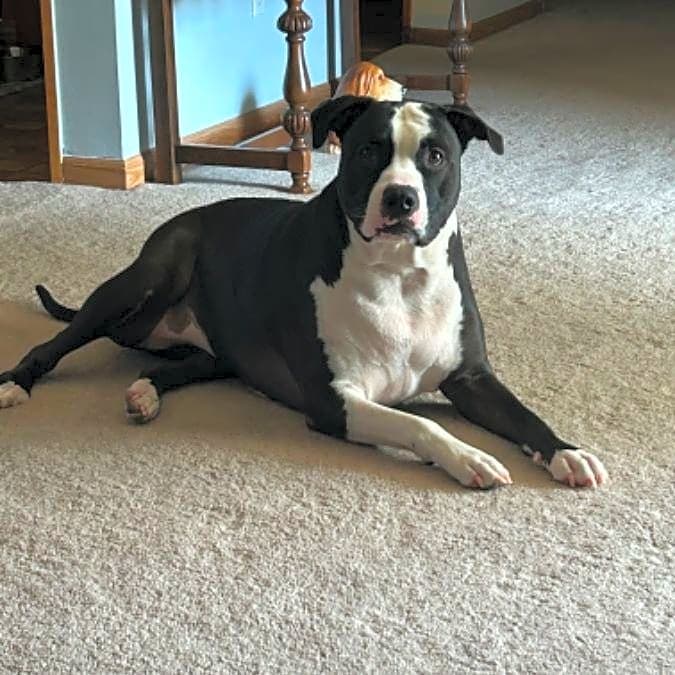 Photo of Kylah