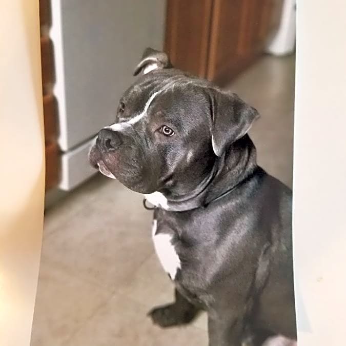 Photo of Cash