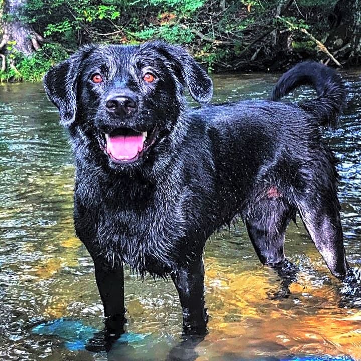 Photo of Harper