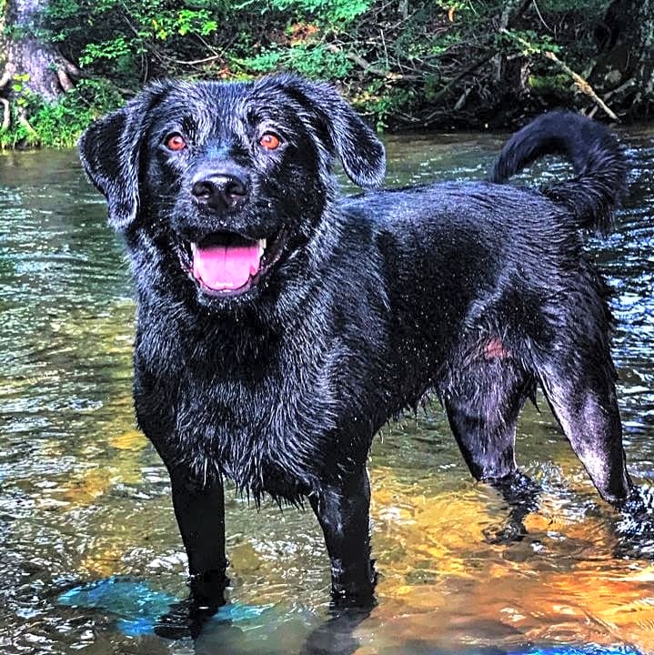 Photo of Harper