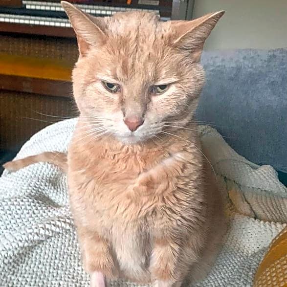 Photo of Oliver