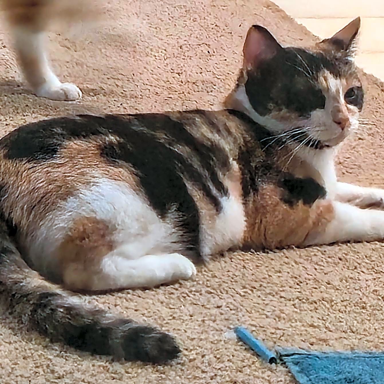 Photo of Mama