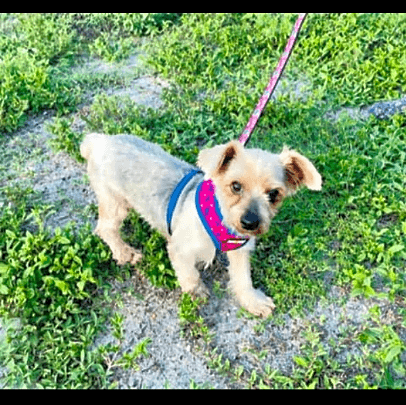 Photo of Mindy