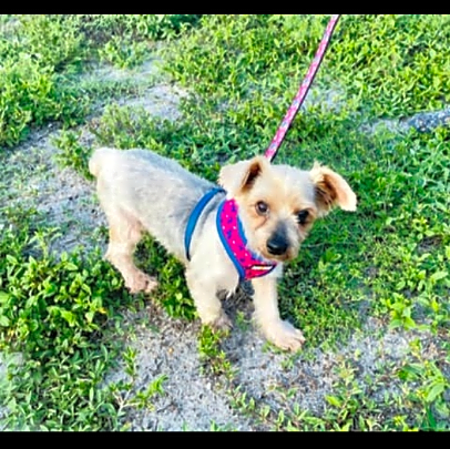 Photo of Mindy