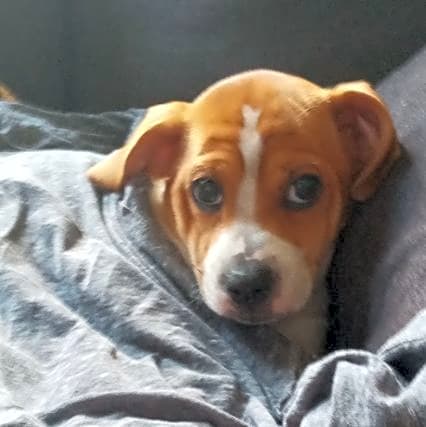 Photo of Navi