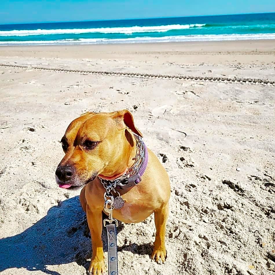 Photo of Irie