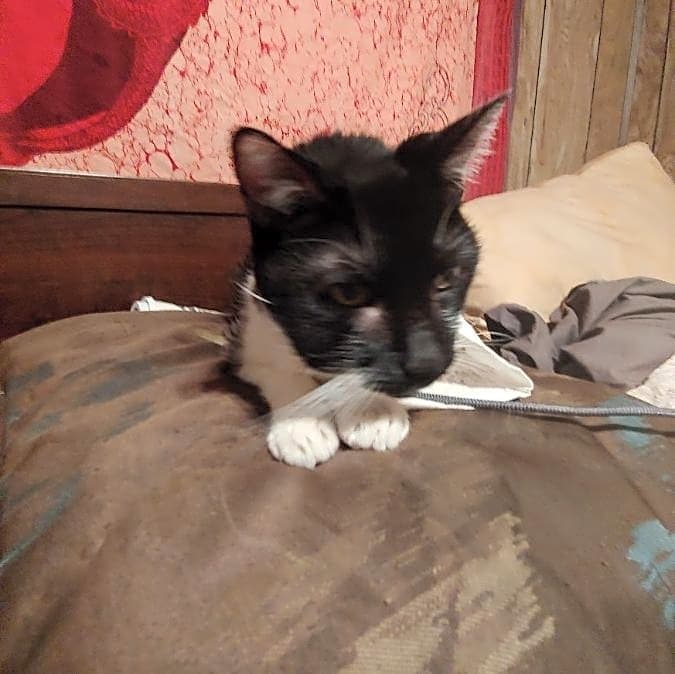 Photo of Zoe