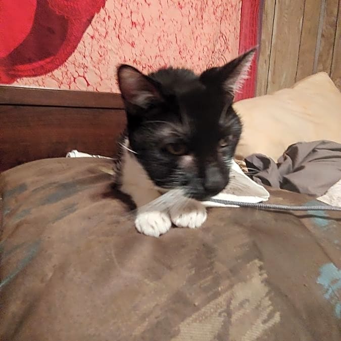 Photo of Zoe