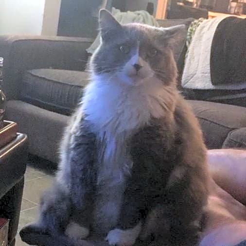 Photo of Hank