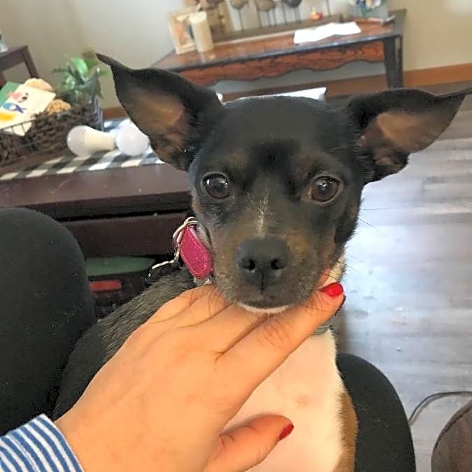 Photo of Lola