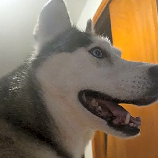 Photo of Sophie