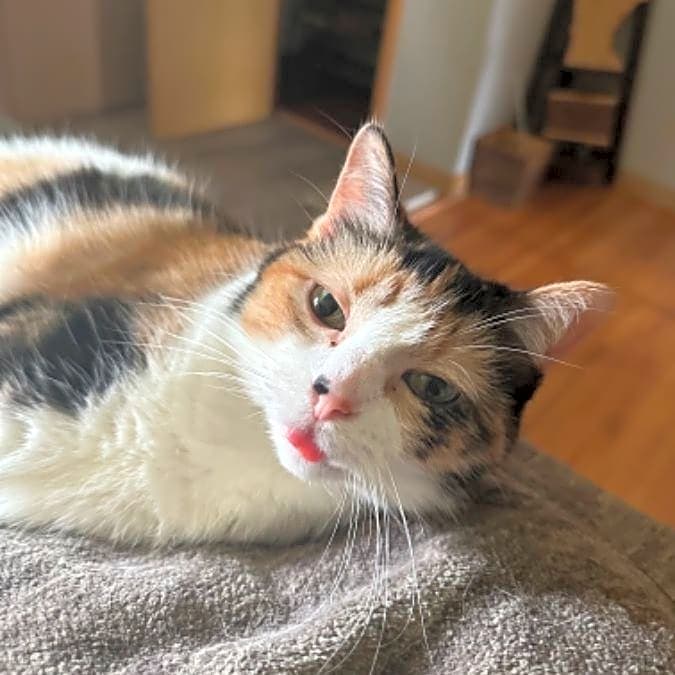 Photo of Mia