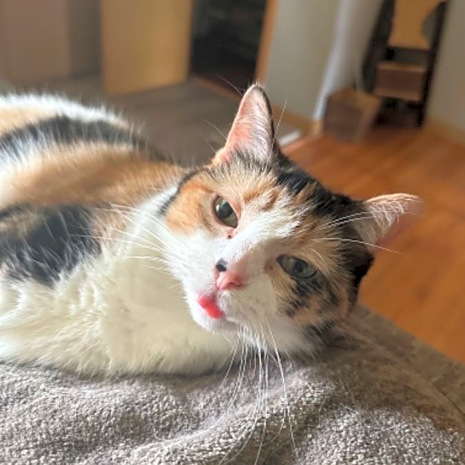 Photo of Mia