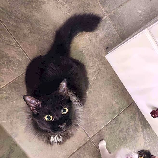 Photo of Jasper