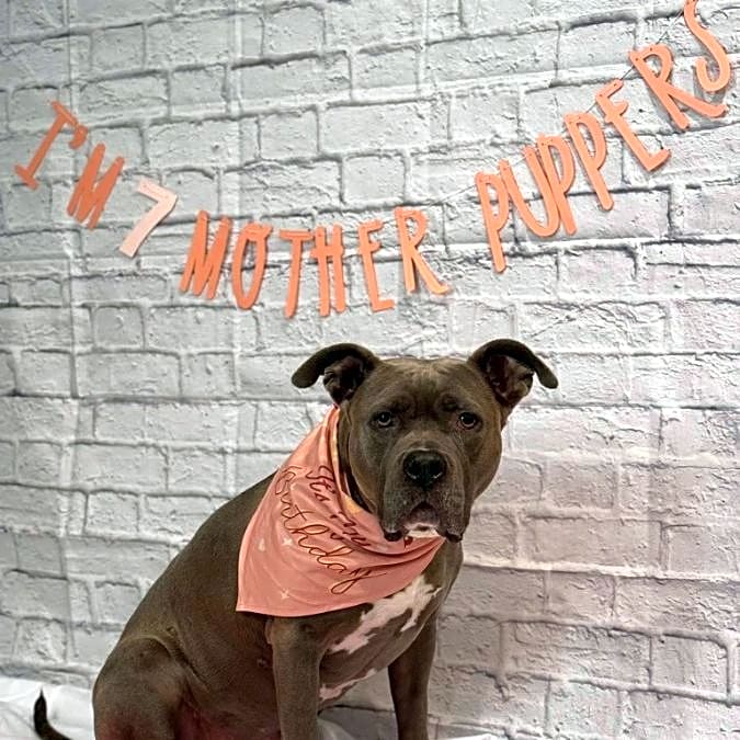 Photo of Kimber