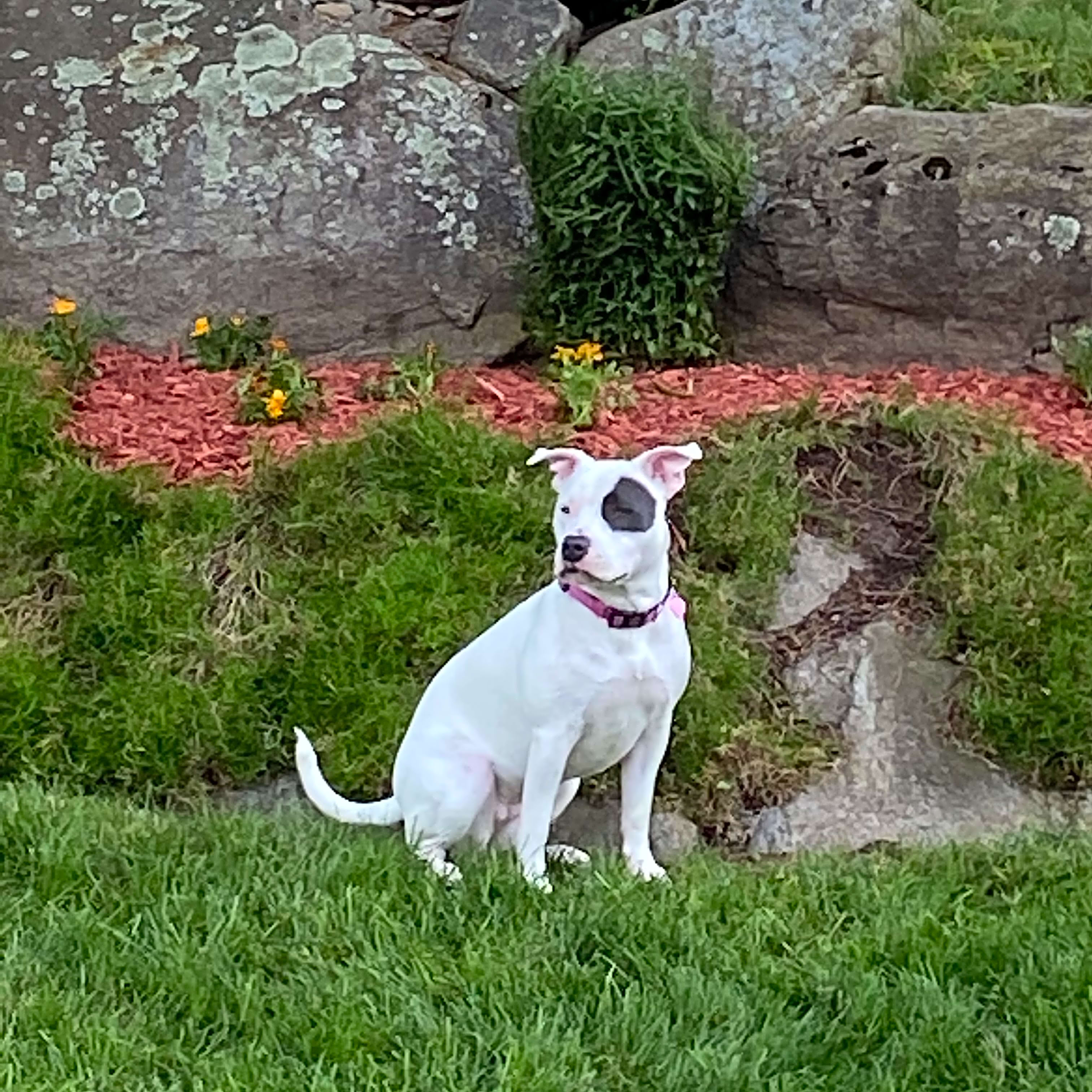 Photo of Maya