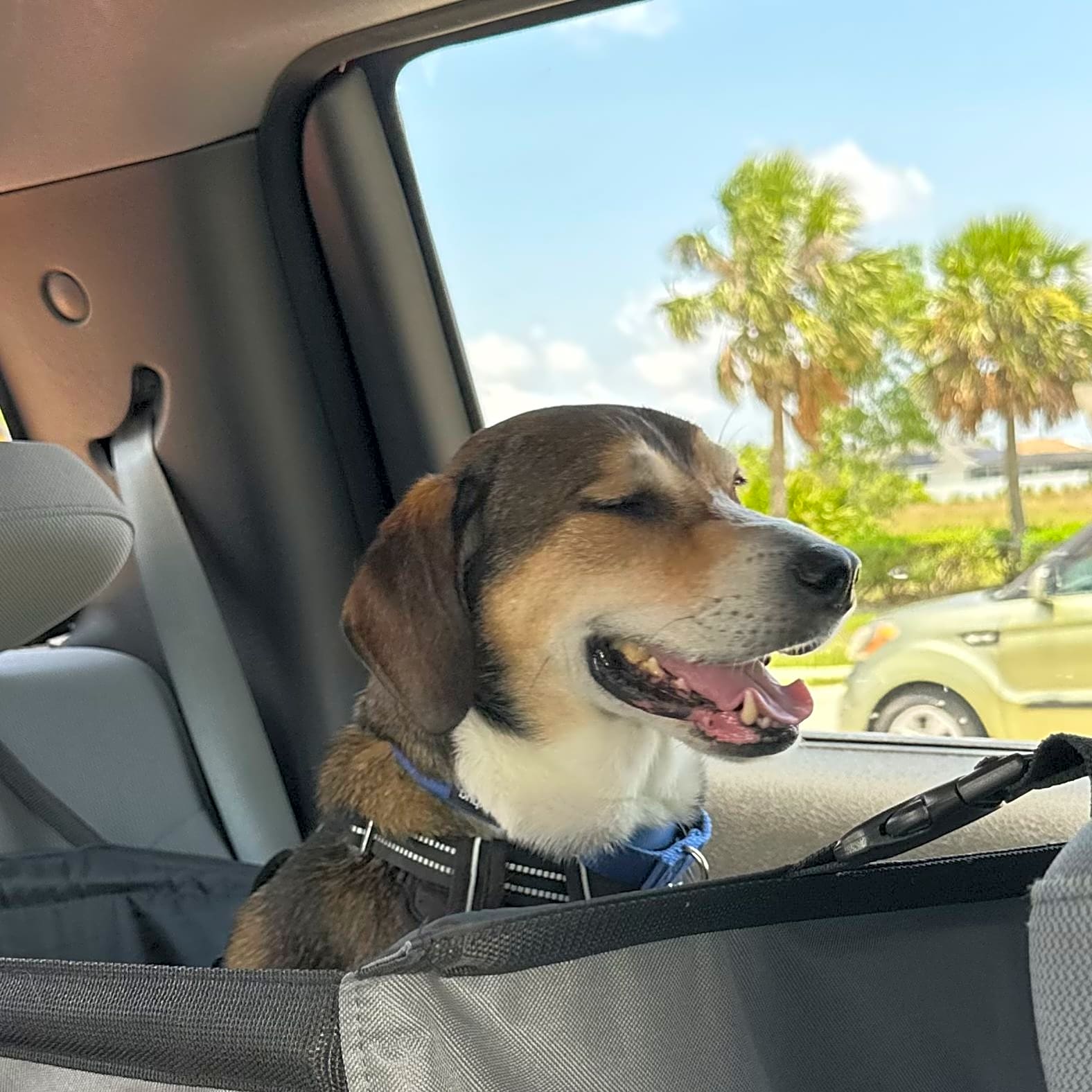 Photo of Max