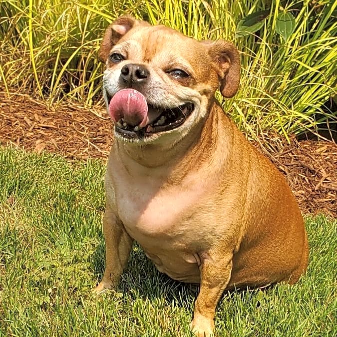 Photo of Slugger