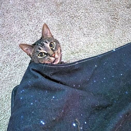 Photo of Umbra