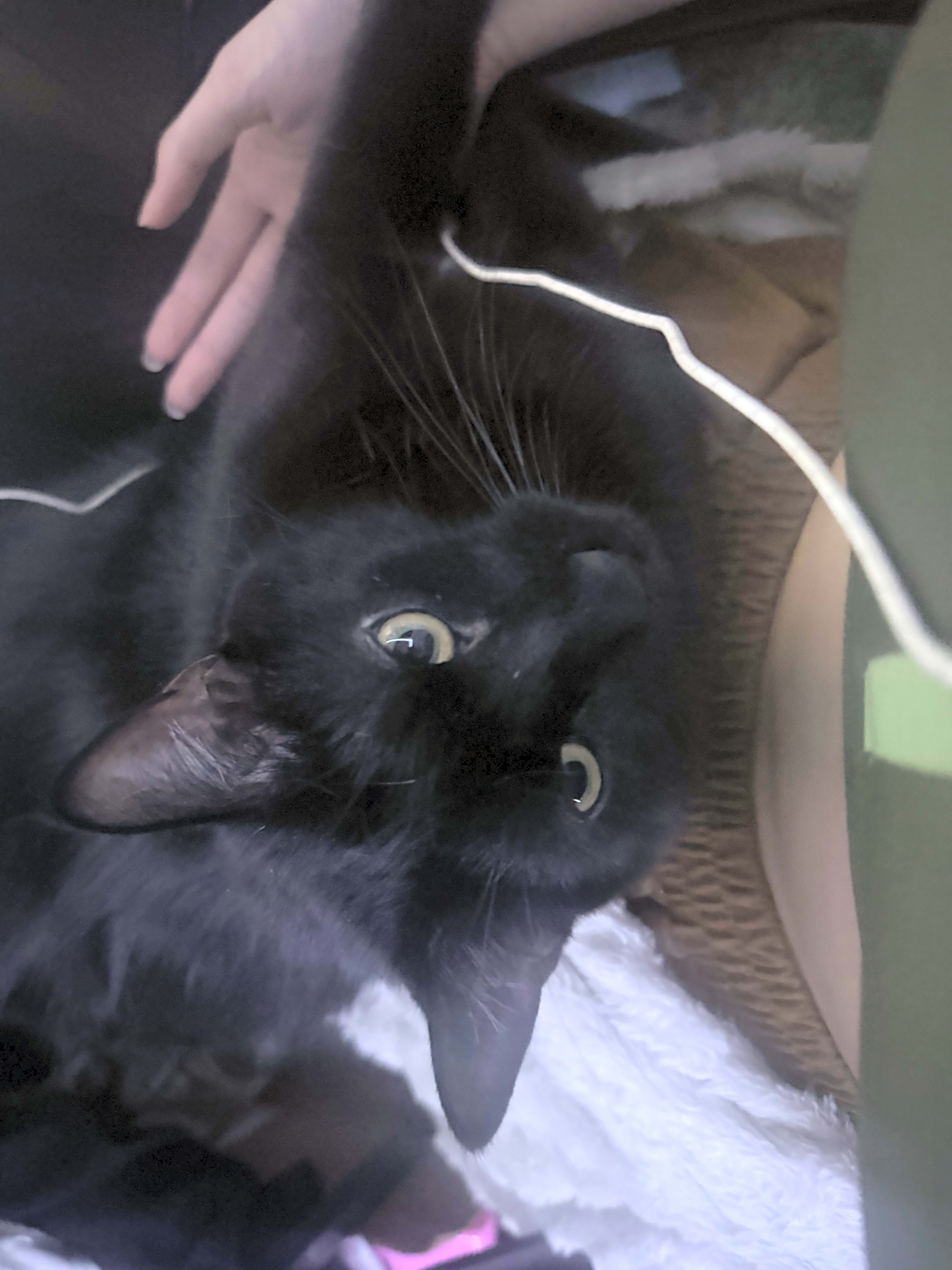 Photo of Max