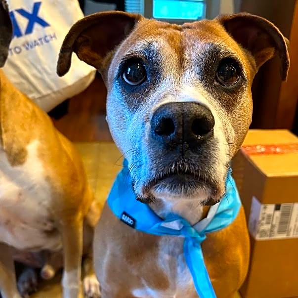 Photo of Lexi