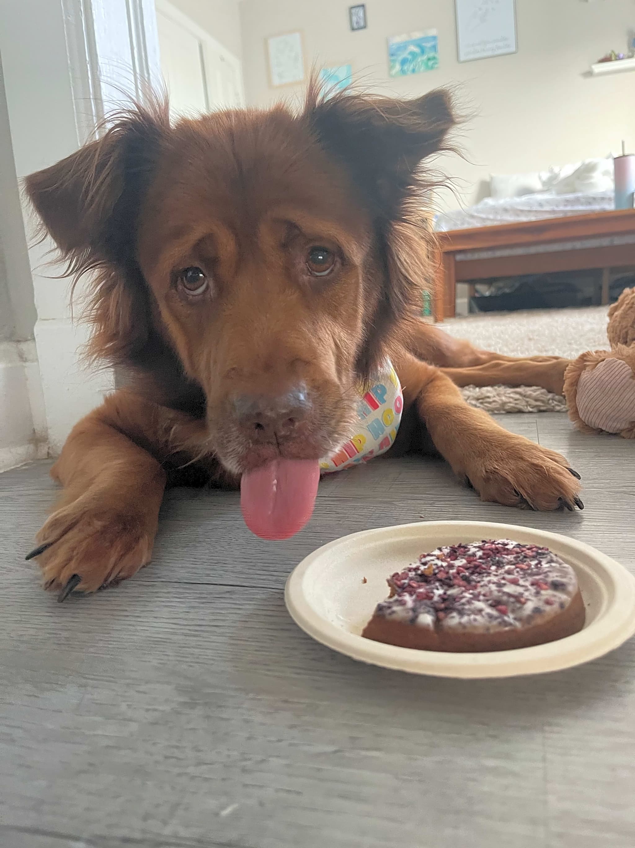 Photo of Cocoa