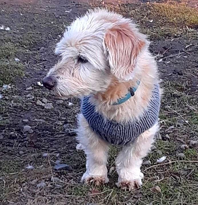 Photo of Lucky