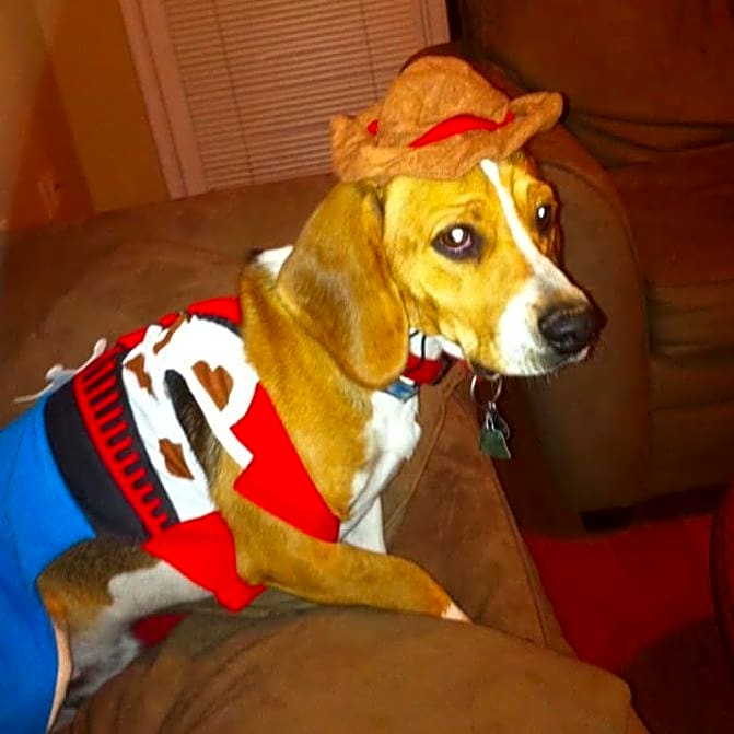 Photo of Roscoe