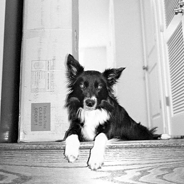 Photo of Molly