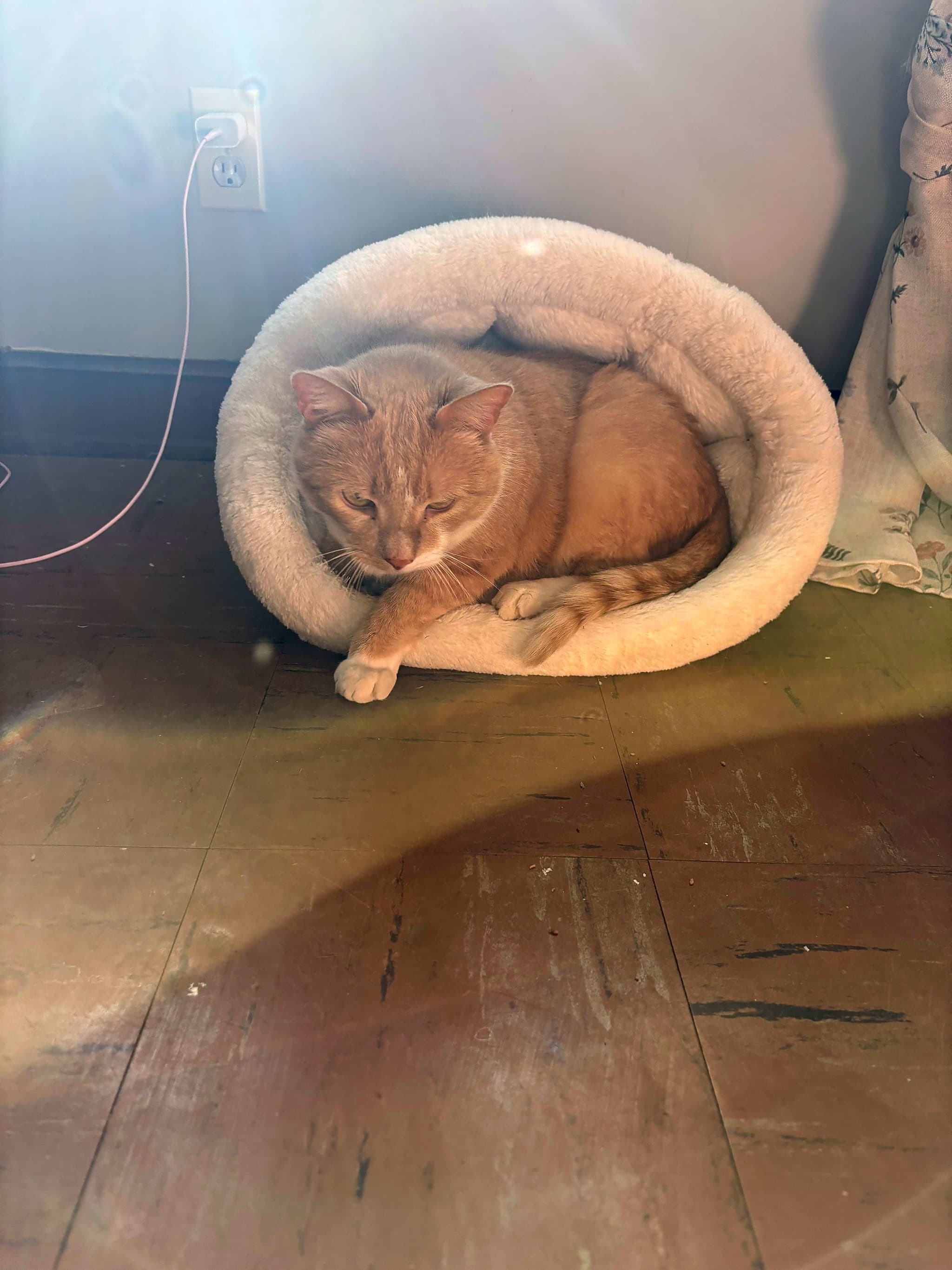 Photo of Levi