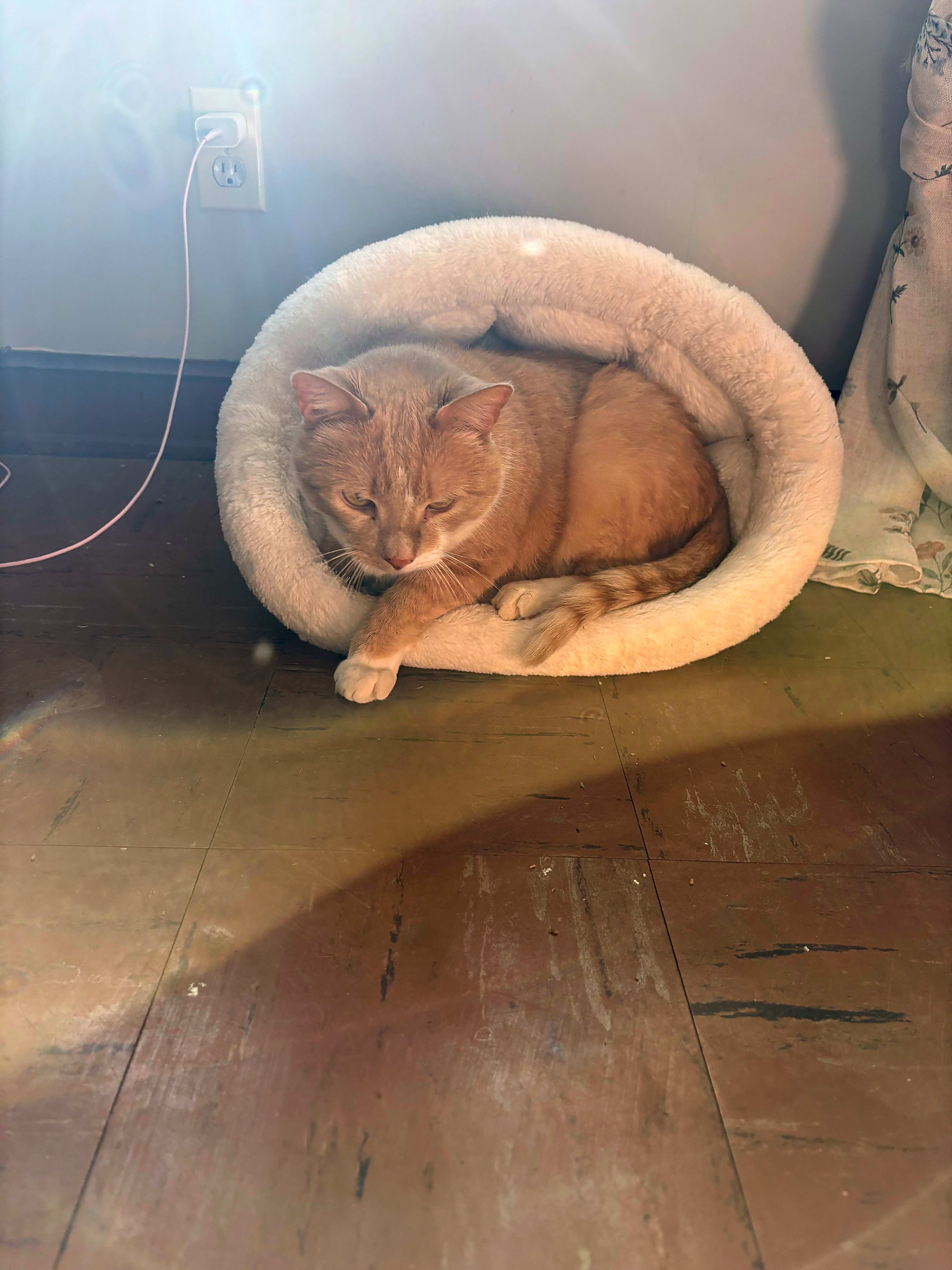 Photo of Levi