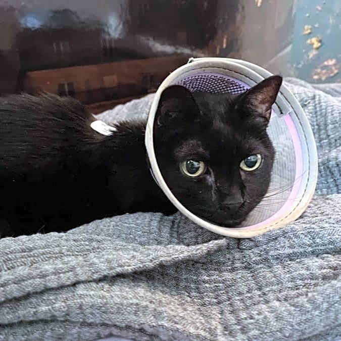 Photo of Madeline