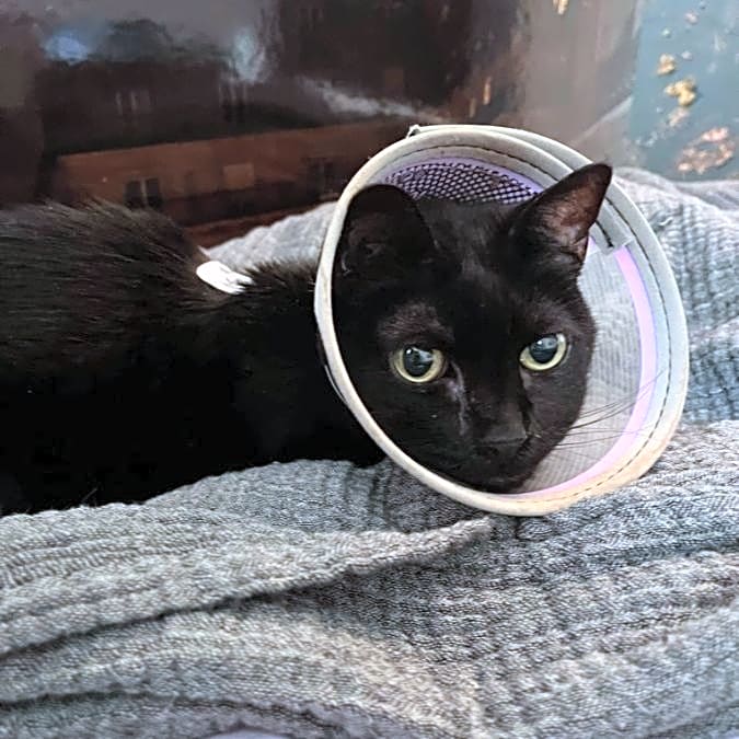 Photo of Madeline