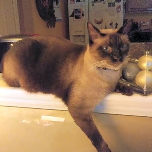 Photo of Meryl