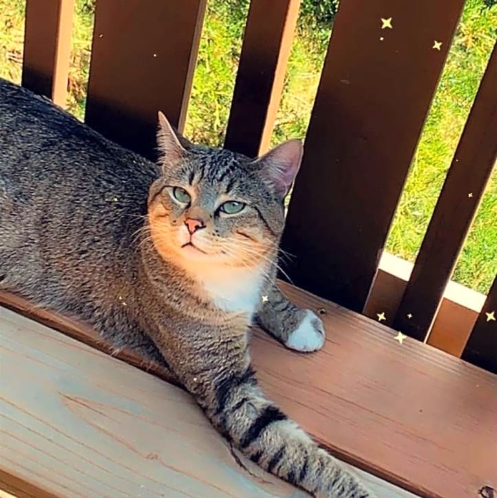 Photo of Hunter