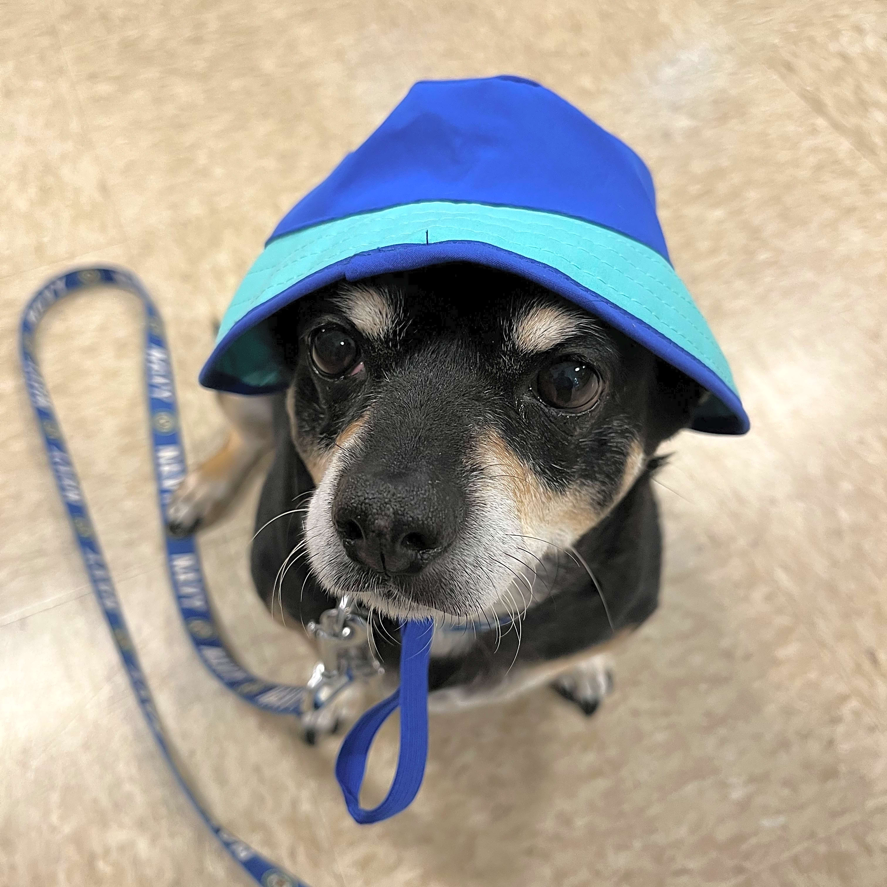 Photo of Junior
