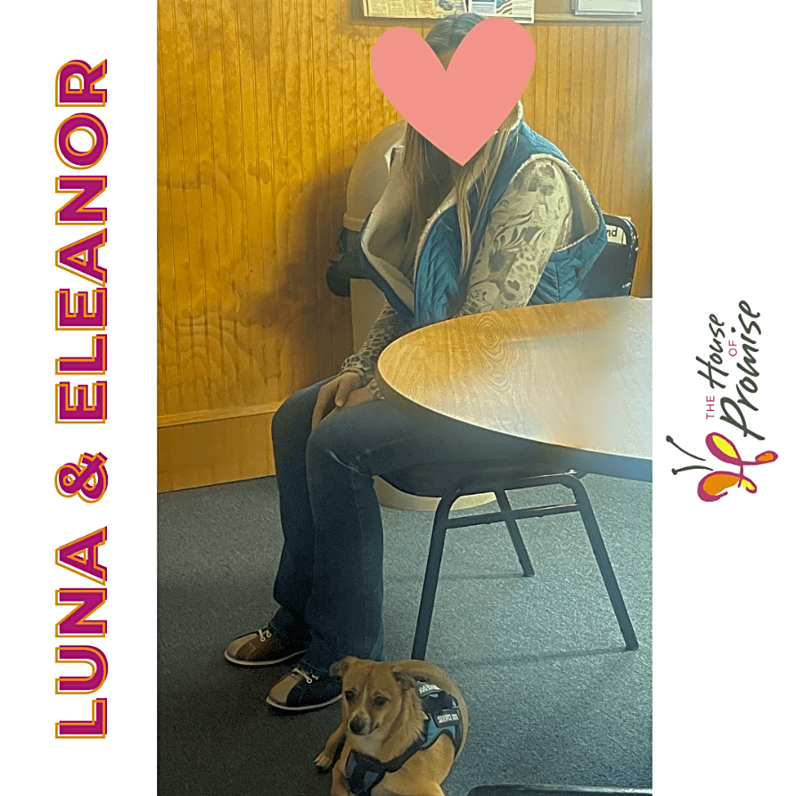 Photo of Luna