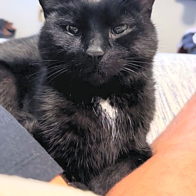 Photo of Theo