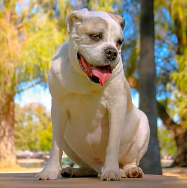 Photo of Max