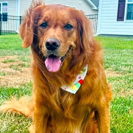 Photo of Ellie