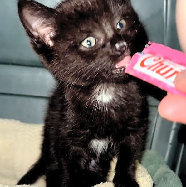 Photo of Evie