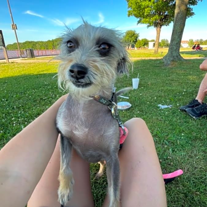 Photo of Missy