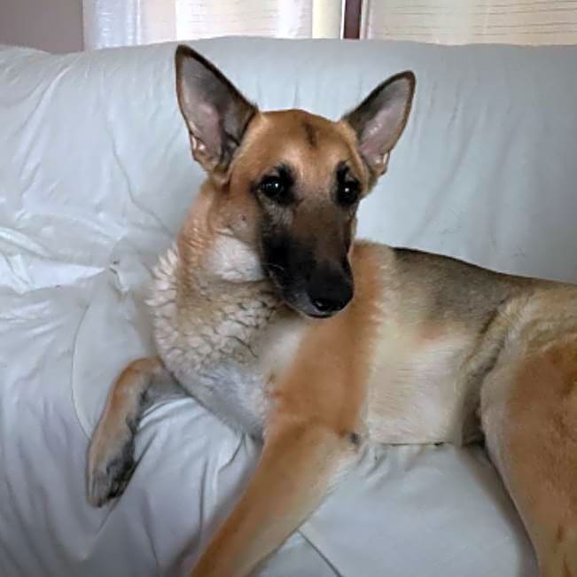Photo of Valor