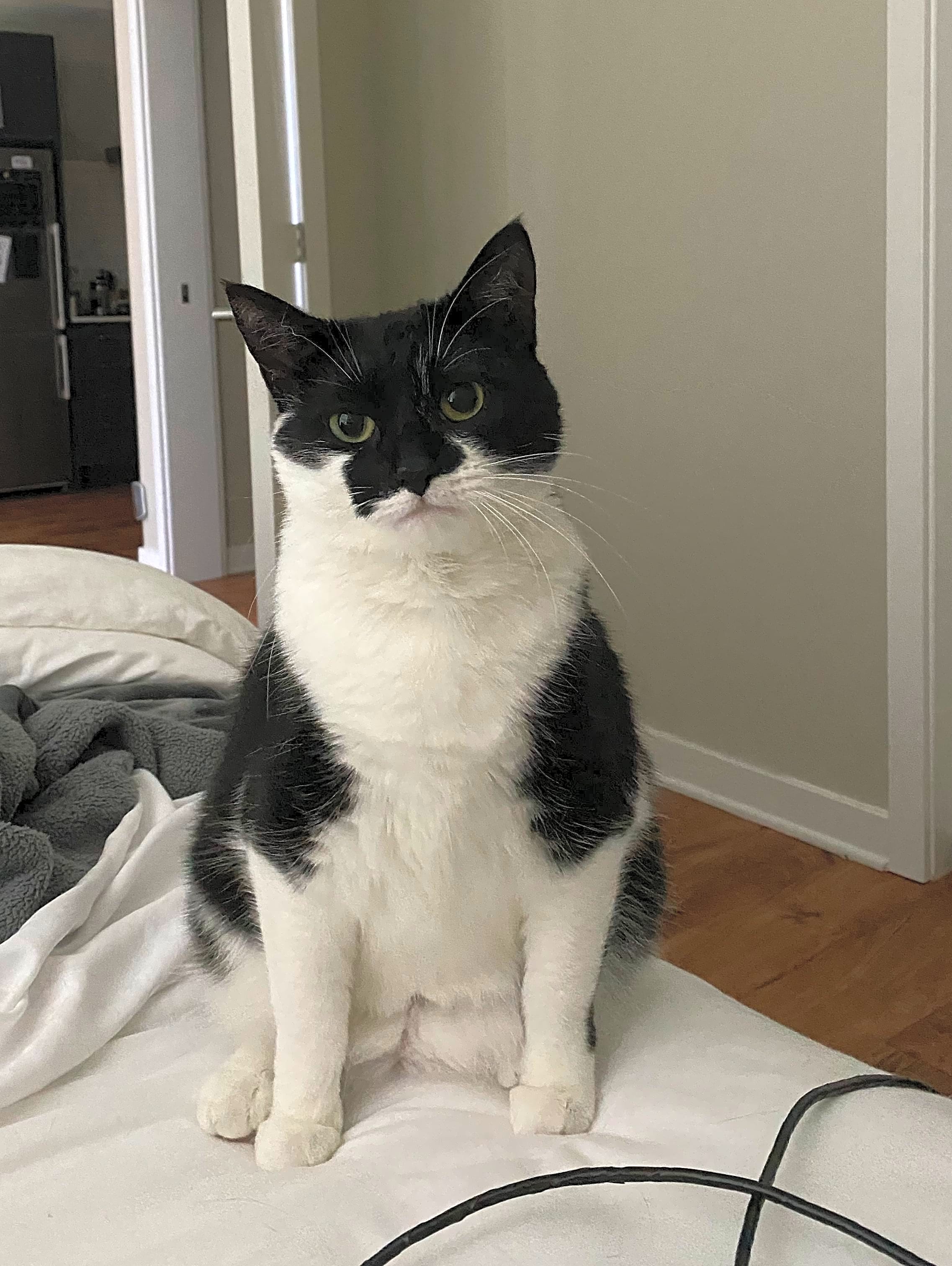 Photo of Lucie