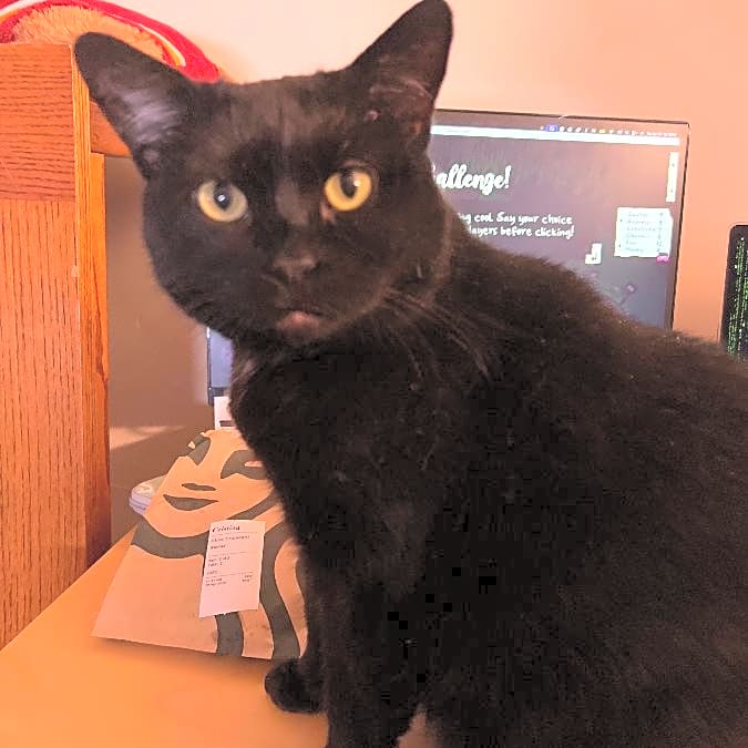 Photo of Cassandra