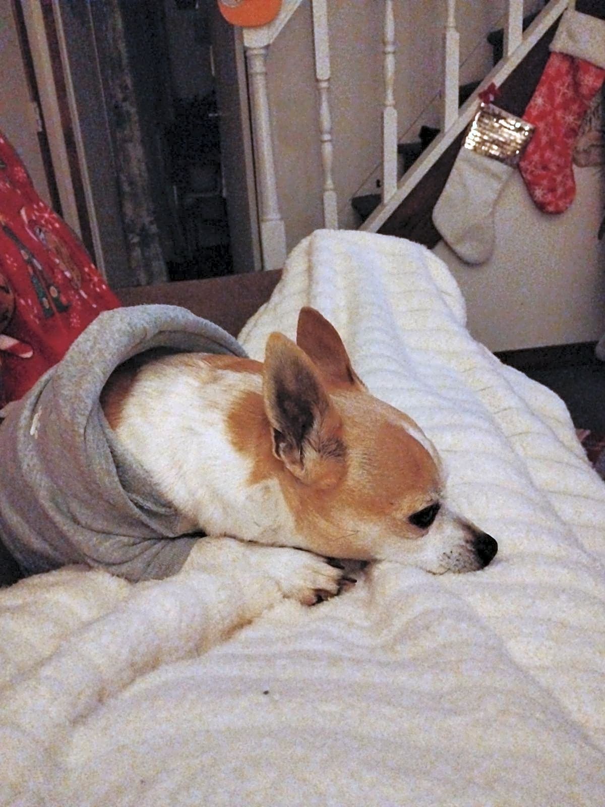Photo of Trouble