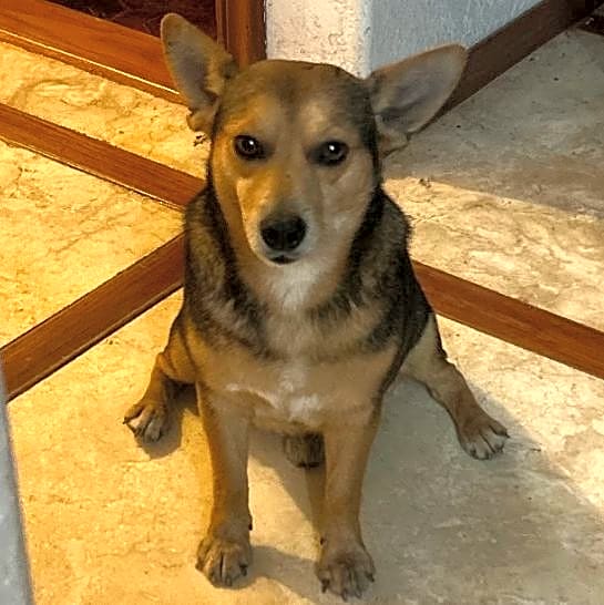 Photo of Fatso